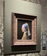 IMG_1381.jpeg