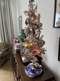 IMG_1532.jpeg