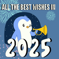 1735676116625.gif
