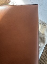 IMG_2921.jpeg