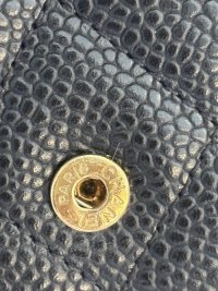 IMG_7842.jpeg