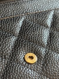 IMG_7843.jpeg