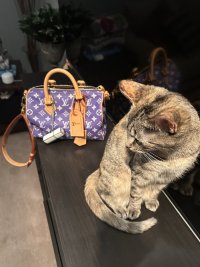 IMG_3393.jpeg