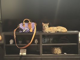 IMG_3167.jpeg