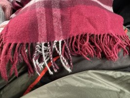 IMG_3534.jpeg