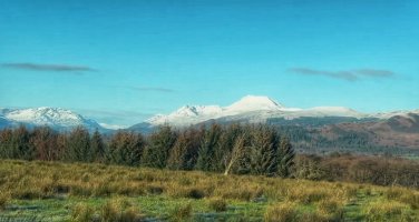 IMG_8700.jpeg