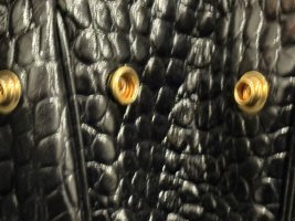 IMG_3254.jpeg