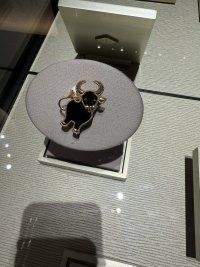 IMG_8535.jpeg