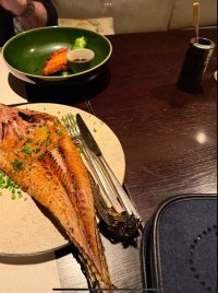 IMG_0466.jpeg