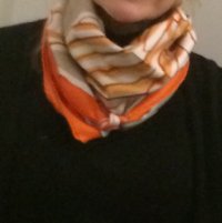 pegase orange beige  fauve .jpg