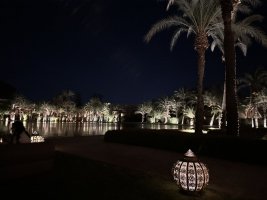 IMG_0085.jpeg