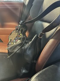 IMG_3342.jpeg
