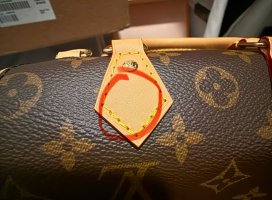 IMG_2367.jpeg
