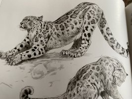 IMG_3810.jpeg