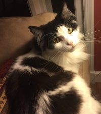 IMG_0851.jpeg