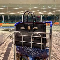 IMG_8324.jpeg