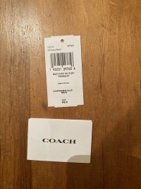 IMG_6408.jpeg
