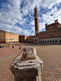 IMG_7005.jpeg