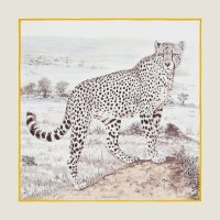 GS Wash Acinonyx Jubatus (03).jpeg
