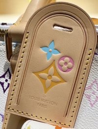 Screenshot_20250121_multicolor stamp.jpg