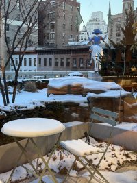 IMG_0237.jpeg