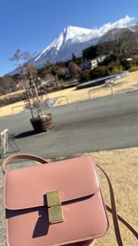 IMG_4313.jpeg