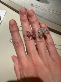 IMG_3725.jpeg