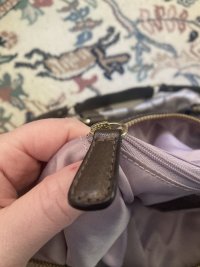 IMG_6714.jpeg
