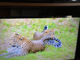 IMG_3851.jpeg