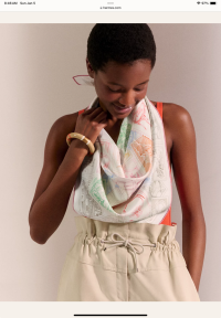 Le Philateliste du Faubourg scarf 90  Hermès USA.jpeg 2.png