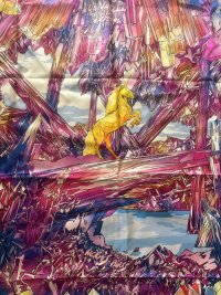 IMG_7865.jpeg