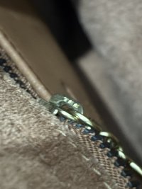 IMG_0961.jpeg