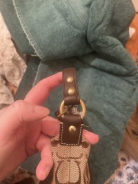 IMG_6945.jpeg