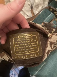 IMG_6952.jpeg