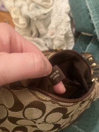 IMG_6953.jpeg