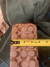 IMG_6956.jpeg