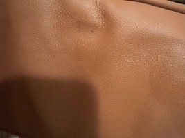 IMG_6318.jpeg