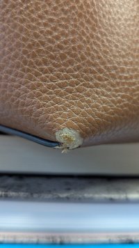 2e8bc6fe-8bcd-475e-8b4f-c170f0f7ae6a.jpg
