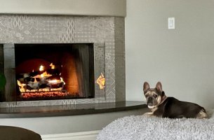 IMG_1600.jpeg