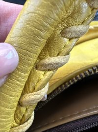 IMG_2283.jpeg