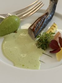 IMG_2877.jpeg