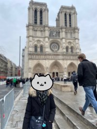 IMG_1355.jpeg