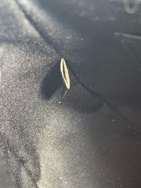 IMG_6484.jpeg