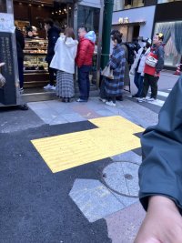 IMG_2655.jpeg