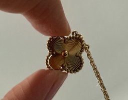 IMG_1713.jpeg