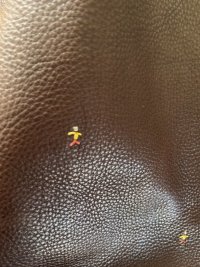 IMG_4223 2.jpeg