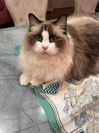 IMG_4720.jpeg