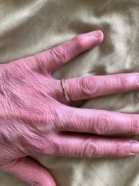 IMG_3202.jpeg