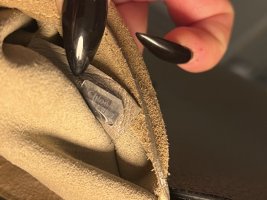 IMG_0248.jpeg
