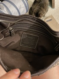 IMG_6928.jpeg